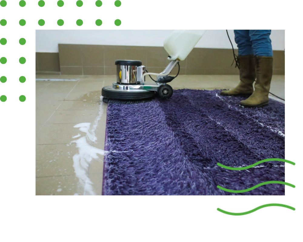 Rug Cleaning in Fortville IN